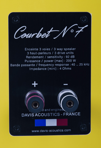 Напольная акустика Davis Acoustics Courbet 7 Yellow Gloss купить фото 13