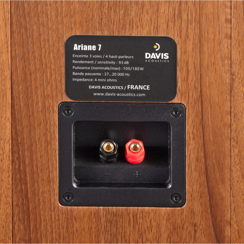 Напольная акустика Davis Acoustics Ariane 7 Dark Walnut купить фото 5