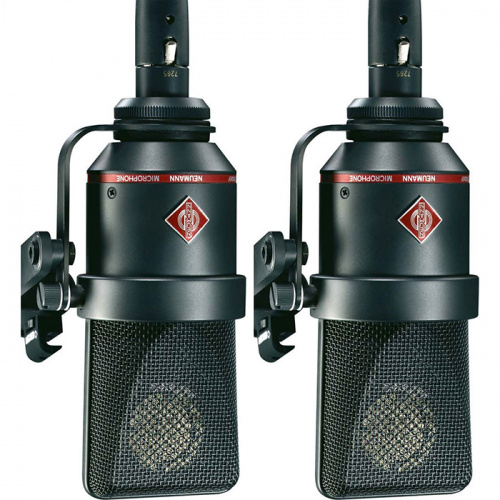 Микрофонный комплект Neumann TLM 170 R stereo set купить