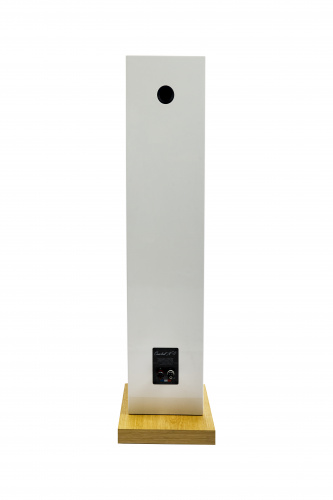 Напольная акустика Davis Acoustics Courbet 8 White Matt купить фото 8