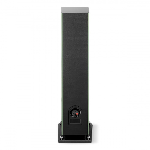 Напольная АС FOCAL ARIA EVO X N2 Moss High Gloss купить фото 6