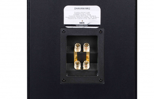 Напольная акустика Davis Acoustics Dhavani MK2 American Walnut купить фото 3