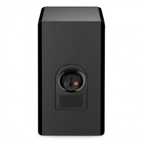 Полочная АС FOCAL VESTIA N1 BLACK купить фото 5