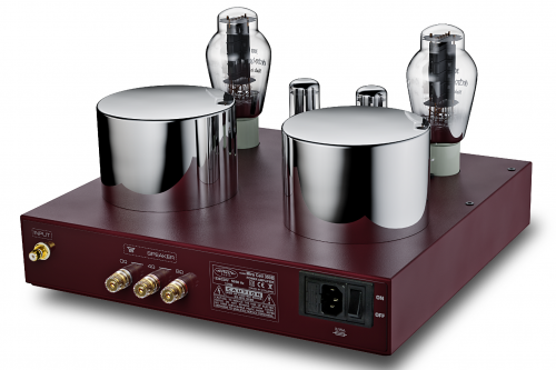 Усилитель Fezz Audio Mira Ceti 300b mono Republika купить фото 2