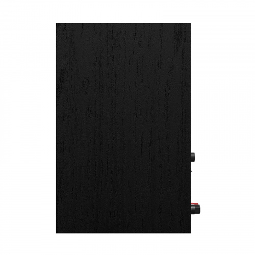 Активная полочная акустика Klipsch R-40PM Black/GNM купить фото 5