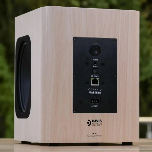 Активная акустическая система OCTAVIO MAESTRO Light купить фото 6