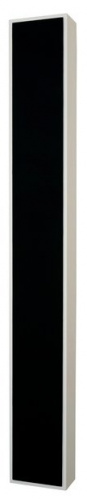 Настенная акустика DLS Flatbox Slim XL, white купить фото 3