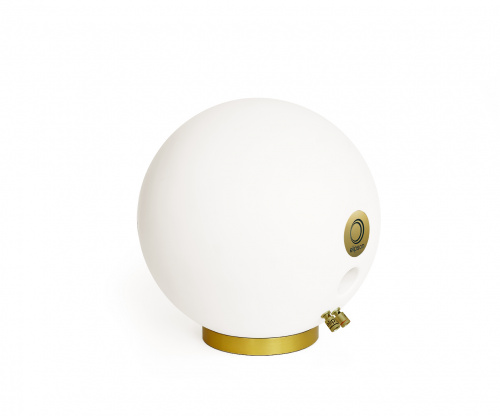 Полочная акустика Elipson Planet L 2.0 Mercury Ice Gold Edition купить фото 4