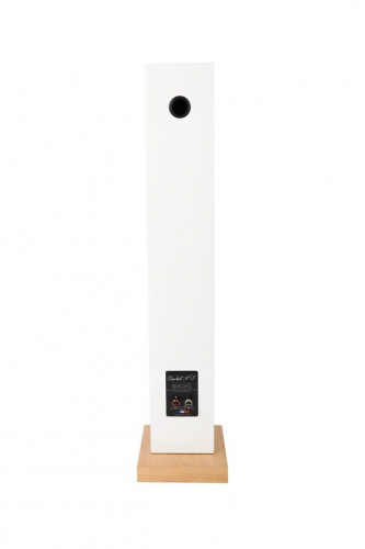 Напольная акустика Davis Acoustics Courbet 5 White Gloss купить фото 4