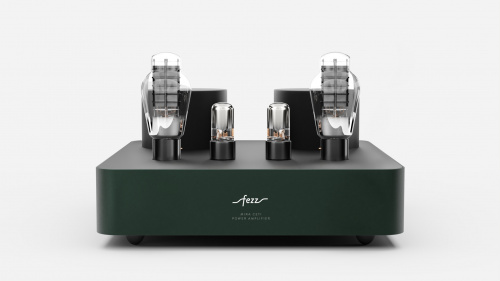 Усилитель Fezz Audio Mira Ceti 300b MONO Power Amplifier EVO Evergreen купить фото 3