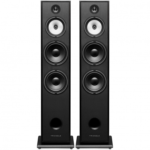 Напольная акустика Triangle BOREA BR10 Black Ash купить