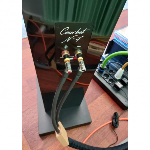 Напольная акустика Davis Acoustics Courbet 7 High Gloss Black купить фото 3