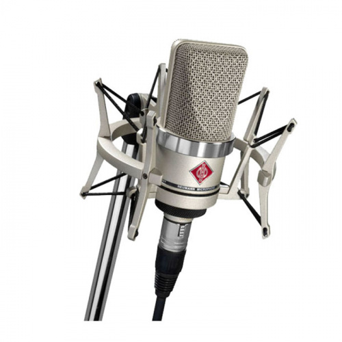 Студийный микрофон Neumann TLM 102 купить фото 2