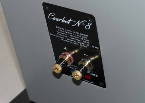 Напольная акустика Davis Acoustics Courbet 8 Blue Gloss купить фото 4