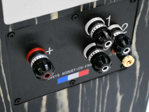 Напольная акустика Davis Acoustics MV One Master Ebony купить фото 5