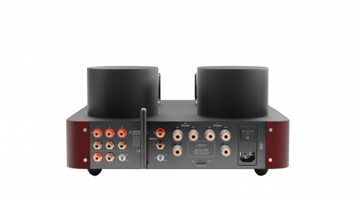 Усилитель интегральный Fezz Alfa Lupi EVO Big Calm купить фото 4