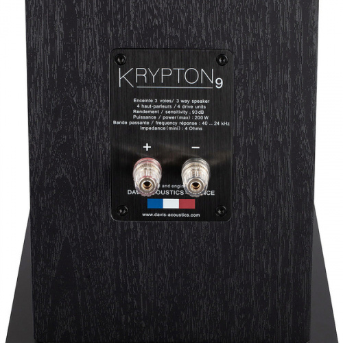 Напольная акустика Davis Acoustics Krypton 9 Technik Black купить фото 2