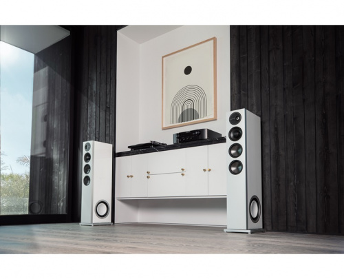 Напольная АС DEFINITIVE TECHNOLOGY DEMAND-D15WT SET купить фото 2