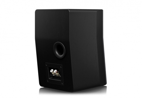 Полочная акустическая система SVS Ultra Evolution Nano Black Oak Veneer купить фото 3