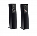 Напольная акустика Davis Acoustics Courbet 4 S2 noir/black