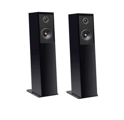 Напольная акустика Davis Acoustics Courbet 4 S2 noir/black купить