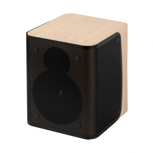 Активная акустическая система OCTAVIO MAESTRO Light купить фото 2