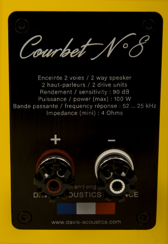 Напольная акустика Davis Acoustics Courbet 8 Yellow Gloss купить фото 11