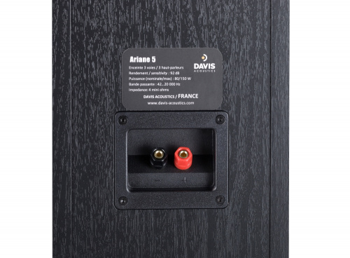 Напольная акустика Davis Acoustics Ariane 5 Black Ash купить фото 5