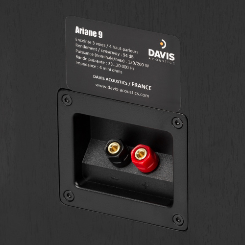 Напольная акустика Davis Acoustics Ariane 9 Black купить фото 7
