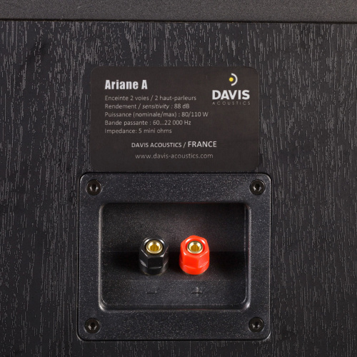 Полочная акустика Davis Acoustics Ariane A Light Oak купить фото 2