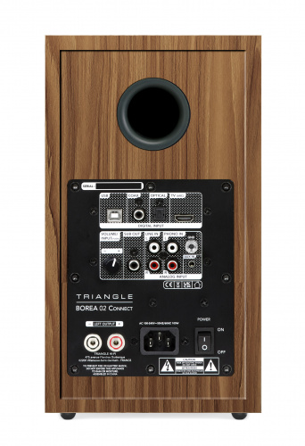 Активная АС Triangle BOREA BR02 Connect Oak Green купить фото 4