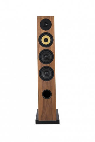 Напольная акустика Davis Acoustics Courbet 5 Walnut Gloss купить фото 10