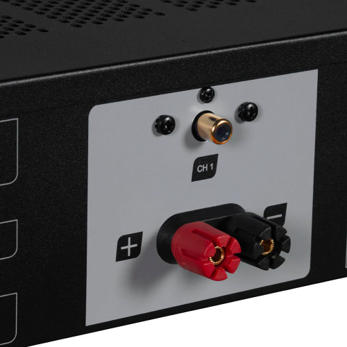 Моноусилитель мощности Emotiva A1 купить фото 6