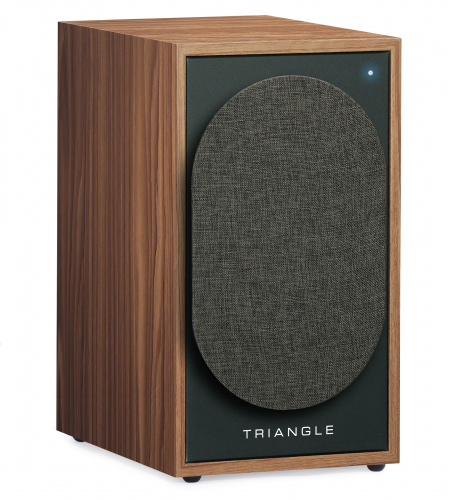 Активная АС Triangle BOREA BR02 Connect Oak Green купить фото 5