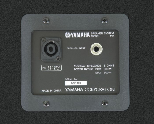 Пассивная акустическая система Yamaha R112 купить фото 2