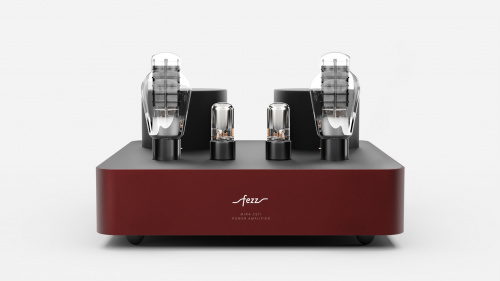Усилитель Fezz Audio Mira Ceti 300b MONO Power Amplifier EVO Big Calm купить