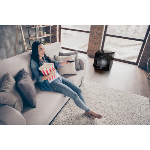 Активный сабвуфер Magnat Omega CS 12 black купить фото 12