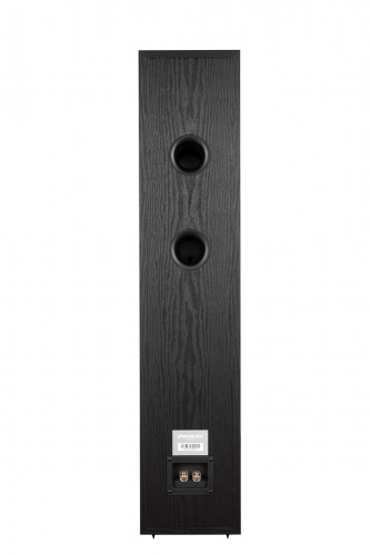 Напольная АС Phaze Audio Tilia 1 Black купить фото 2