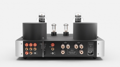 Усилитель интегральный Fezz Audio Mira Ceti 300b EVO Moonlight купить фото 4