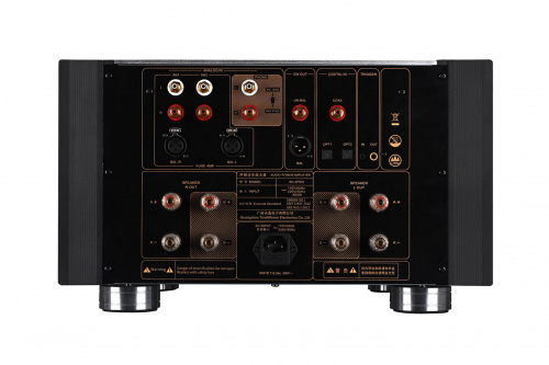 Интегральный усилитель Tone Winner AD-2PRO+ купить фото 5