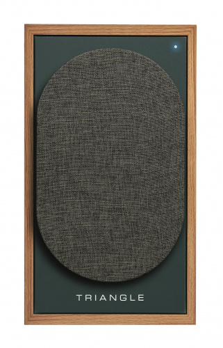 Активная АС Triangle BOREA BR02 Connect Oak Green купить фото 6