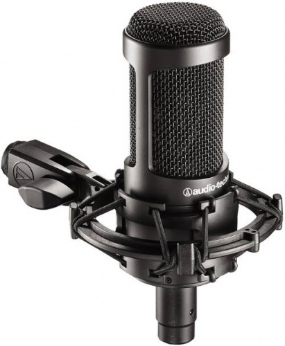 Студийный микрофон Audio-Technica AT2035 купить фото 4