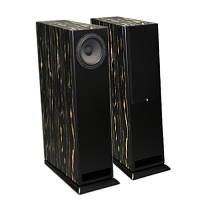 Напольная акустика Davis Acoustics MV One Master Ebony купить